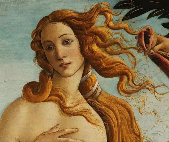 从美神到妓女维纳斯为何被画家的双手拉入人间