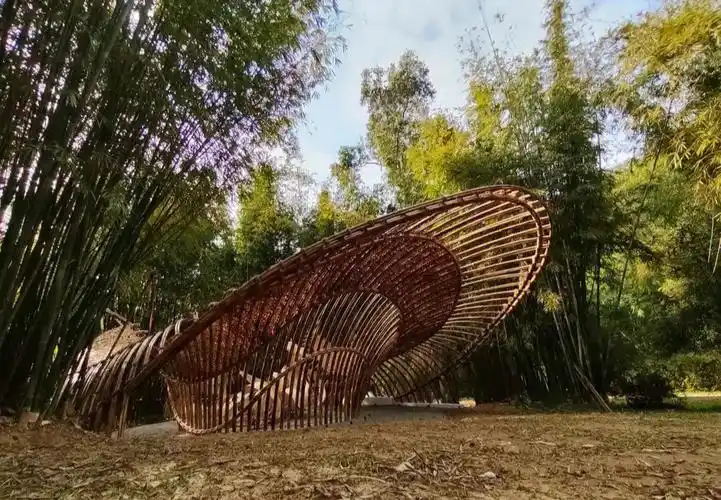 如何把这个构筑物完美的融合到周边环境中,所以选用了竹子这种既生态