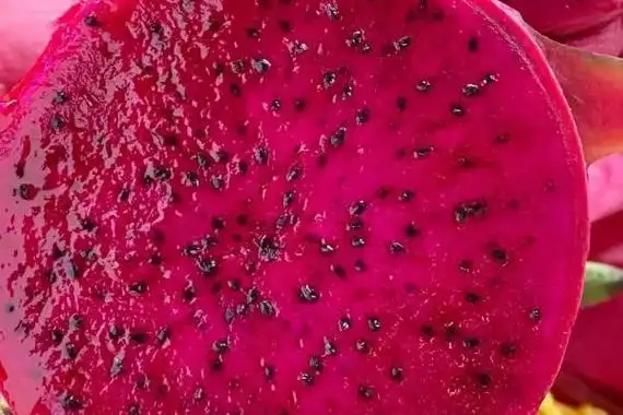 红心火龙果因果肉呈深红色而得名