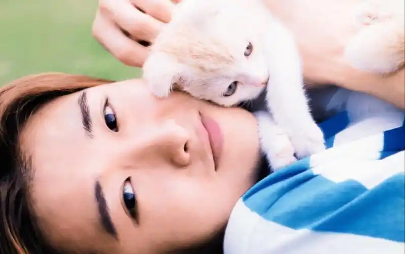 【大野智】论如何逗一只智喵【大野智】脸蛋里装着梦想(0766`*)