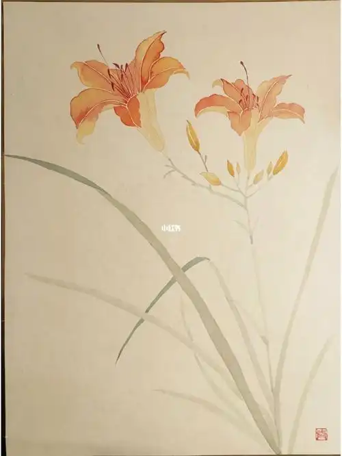 挑战100幅没骨画之三十三萱草花