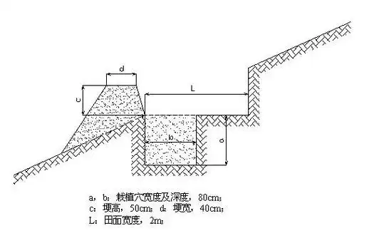 "88542"水平沟整地