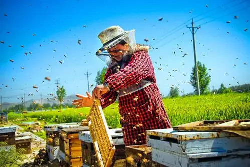 一组社会各界劳动者的真实照片,辛勤劳动创造世界