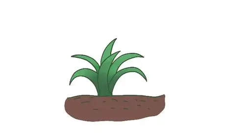 一株小草简笔画 一株小草简笔画怎么画