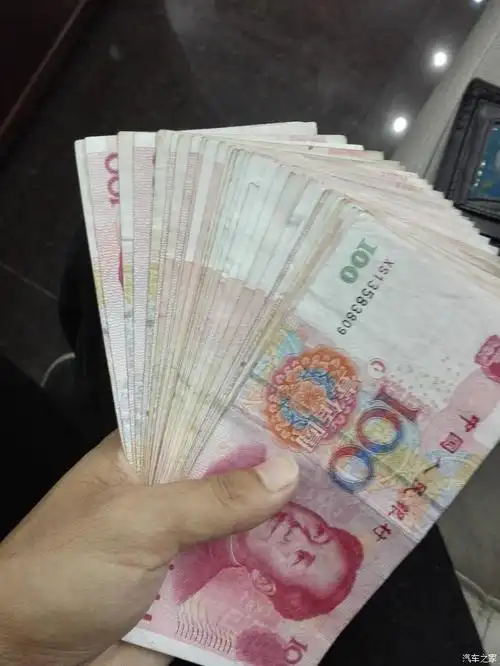 【图】三千补贴现金拿到手_远景论坛_汽车之家论坛