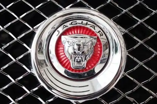 全球6大动物车标第一个价值连城最后2个无人知