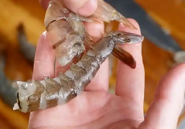 真正的厨师都这样剥虾!从这里下手一拉就剥完了