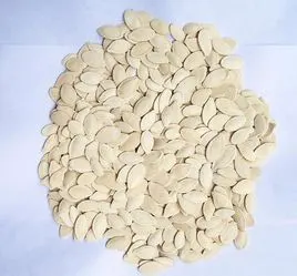 桦甸白瓜籽