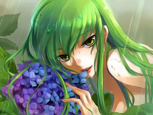 动漫-绿眼睛图像,女孩壁纸,花向量,灌木背景 高清