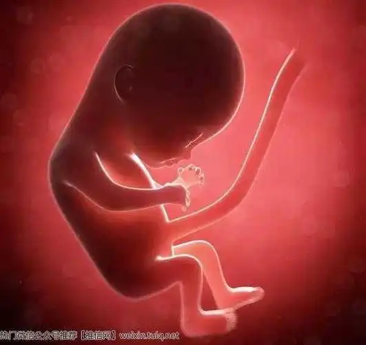 【2,钳刮术1次就够多了】