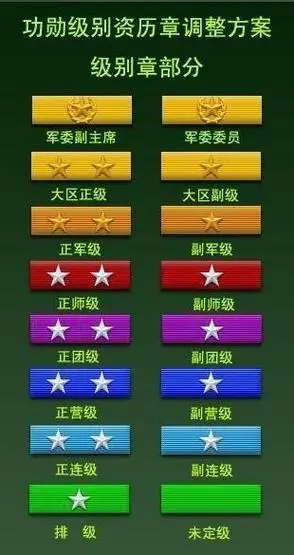 军人胸前的代表级别和军龄的略章如何区分请带图说明