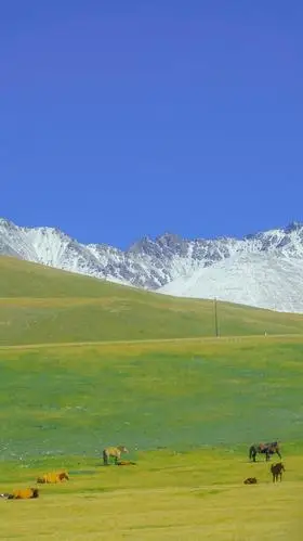 草原雪山壮阔自然风景