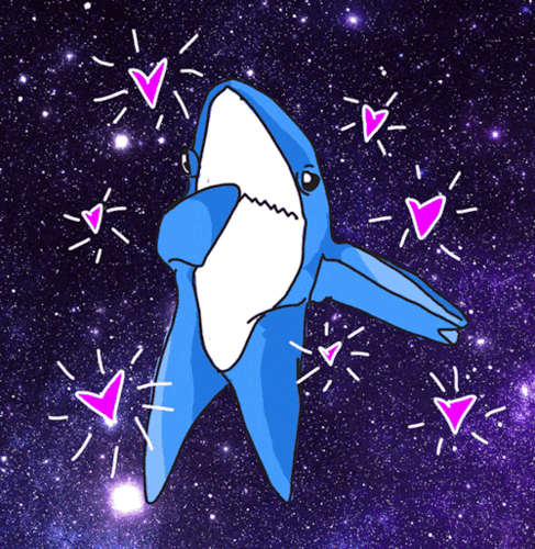 大海趣闻录鲨鱼真的害怕海豚吗