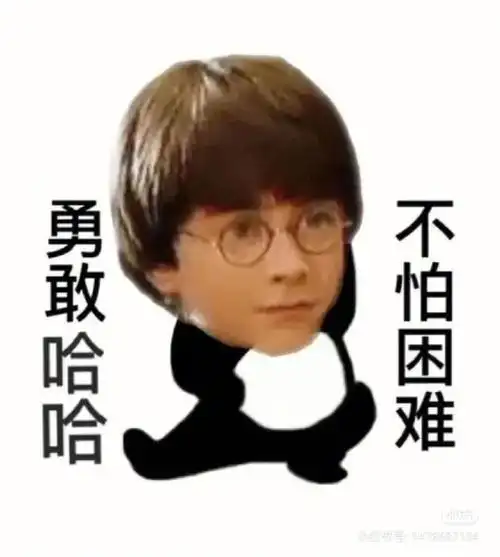 哈利波特表情包