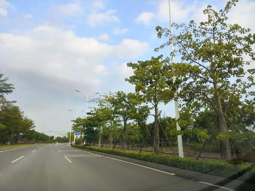 漳州市区农村的村道.比很多大城市的马路还宽#沿途风景随拍 # - 抖音