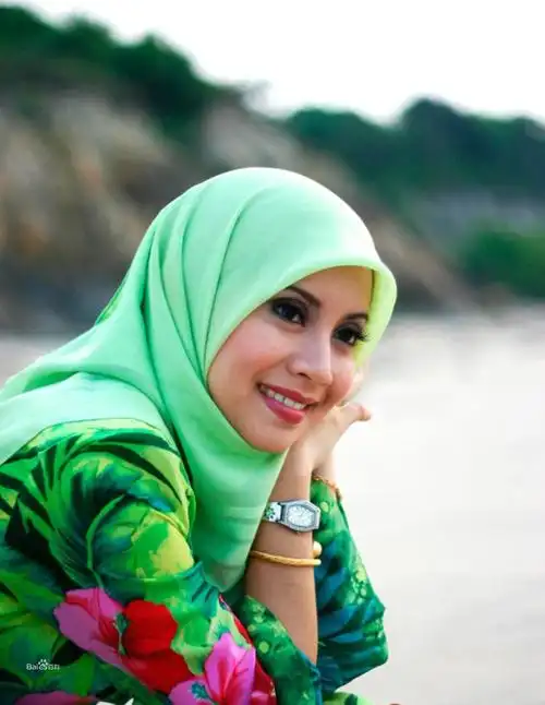 马来族的简要介绍