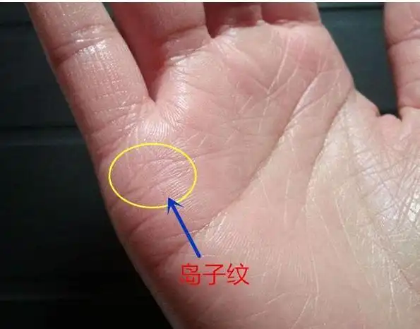 手有"夫子眼"或"凤眼纹"的男女,一生富贵婚姻无忧-搜狐大视野-搜狐