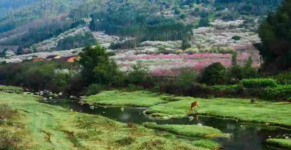 寻一方庭院,觅一处静好景区亮点古山重景区(山重村)是国家生态示范村