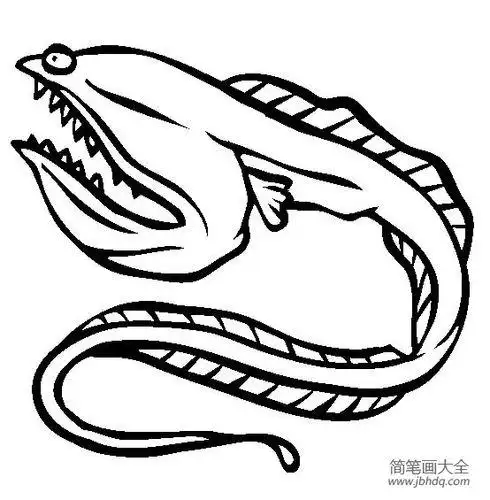 海洋生物图片吞噬鳗简笔画图片