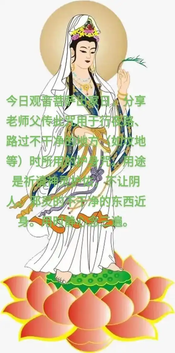 今日观音菩萨出家日,分享老师父传此咒用于行夜路,路过不干净的 - 抖