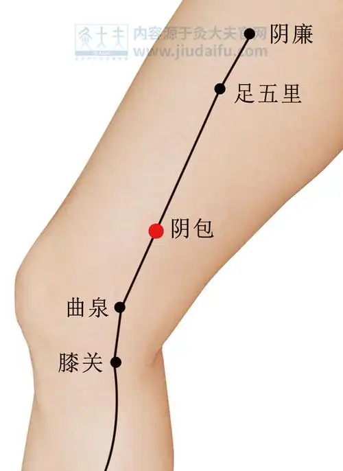 正确养肝很重要,春季艾灸调理肝经,养补肝血,健康自然来! | 灸大夫