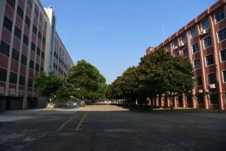 莲塘五中2019暑期致家长的一封信