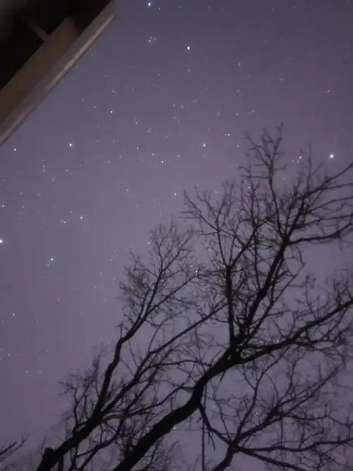 那天夜晚9515的星星78