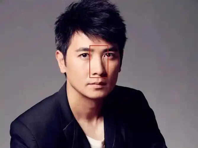 鼻梁(山根)宽厚有气势,梁高不露骨,年寿圆而直贯印堂,鼻头丰隆,台尉