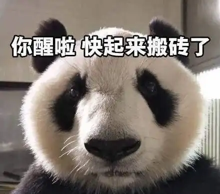 萌宠熊猫你醒啦快起来搬砖了搞怪逗gif动图_动态图_表情包下载_soogif