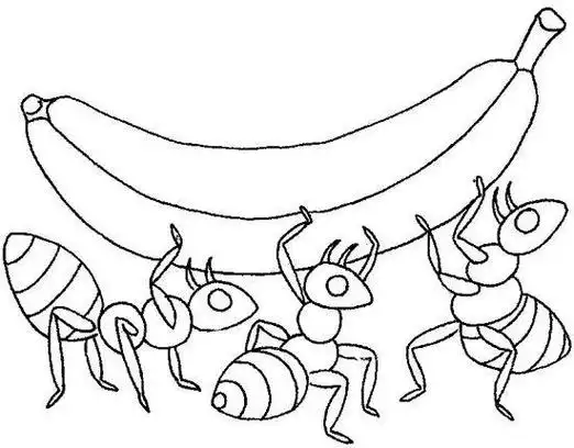 蚂蚁的简笔画图片