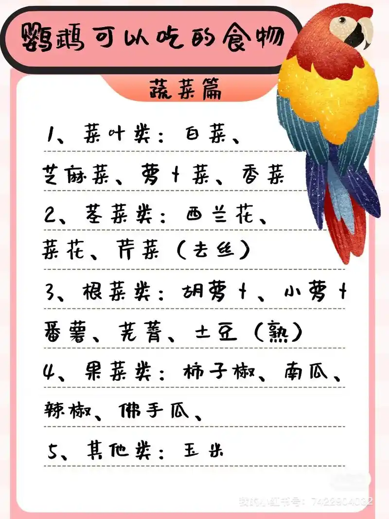 鹦鹉能吃不能吃食品清单.整理收藏   00 鹦鹉可以吃不可以 - 抖音