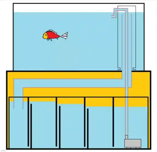 底部过滤鱼缸系统图(鱼缸下循环安装图)