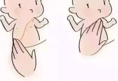 宝宝平躺肋骨正常1