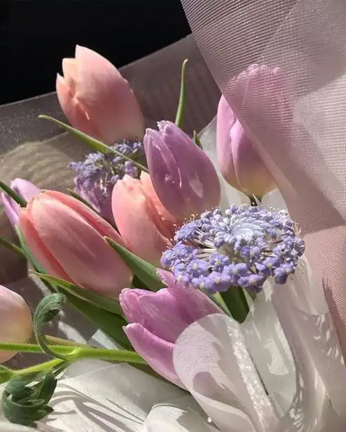 花- 堆糖,美图壁纸兴趣社区