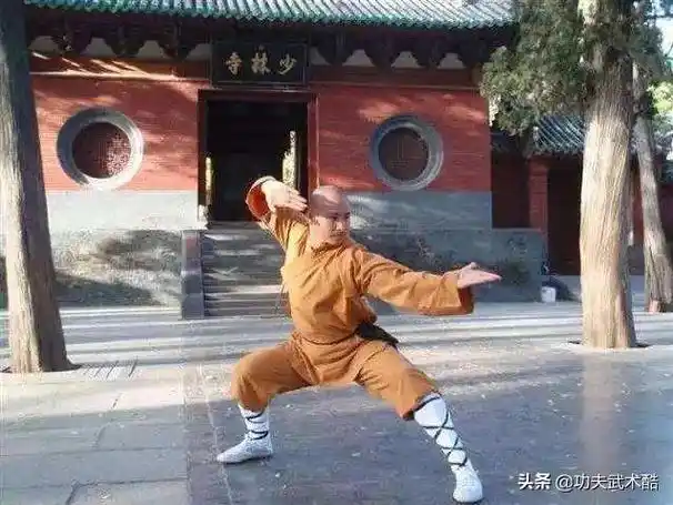 少林五行拳之刚柔鹤拳招式与技击用法动作简单凶狠