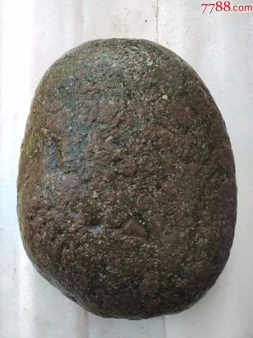 洛阳奇石新品"金钱石"原石1号(石型完美,重约28斤)