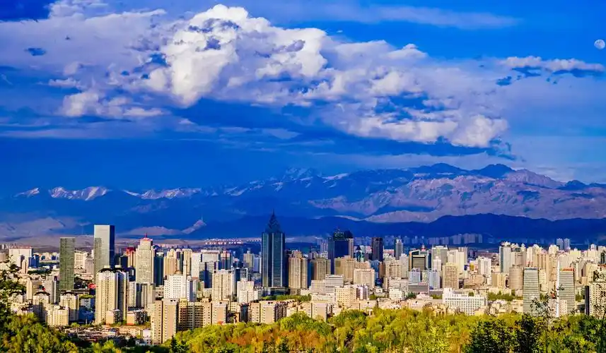 【段先生求职简历_乌鲁木齐市售前/售后支持】-新疆人才网