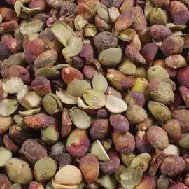 黄皮核50g-1000克中药材黄皮籽黄皮子核黄皮果核山黄皮核