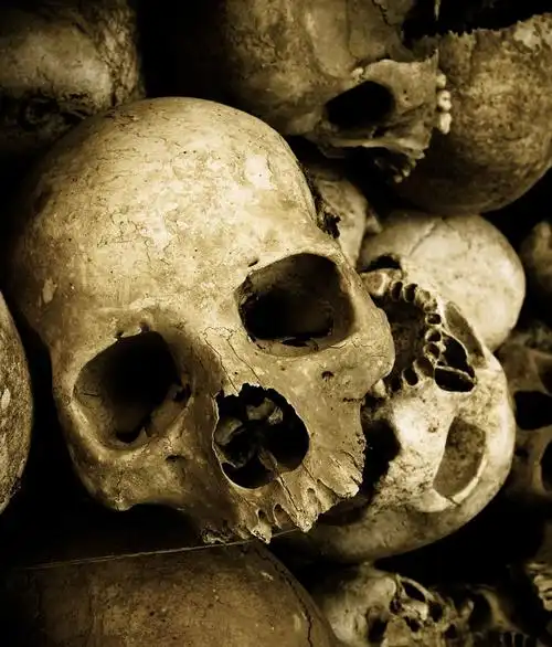 骷髅头摄影高清图片