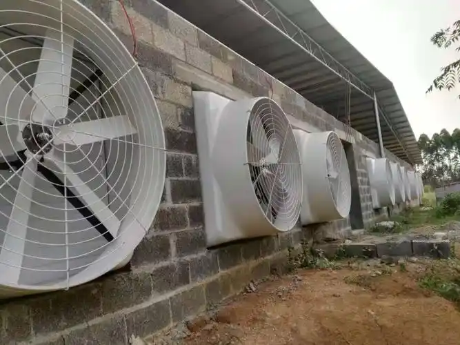 玻璃钢风机 养猪场风机 玻璃钢风机批发 风机供应 价格优惠