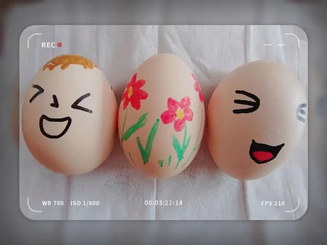 鸡蛋表情包/鸡蛋上画画