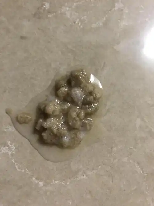 狗狗呕吐常见的5个现象找对原因对症下药