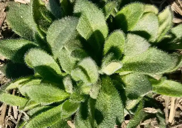 三十年河东,三十年河西.