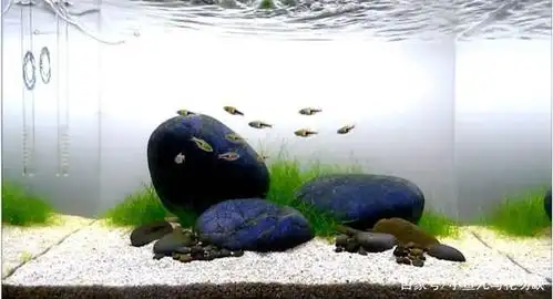 浅析鹅卵石造景缸的几种形态,简约而又不失严谨