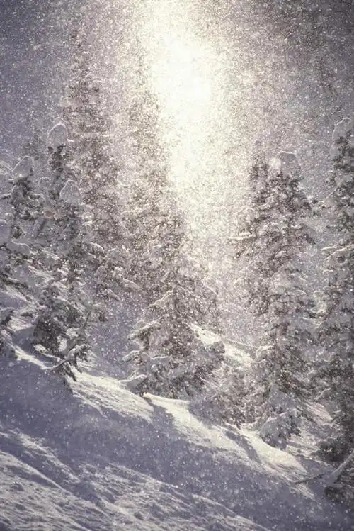 正面,旅游,度假,石头,美景,森林,山,树林,雪,雪山,植物,暴风雪,大暴雪