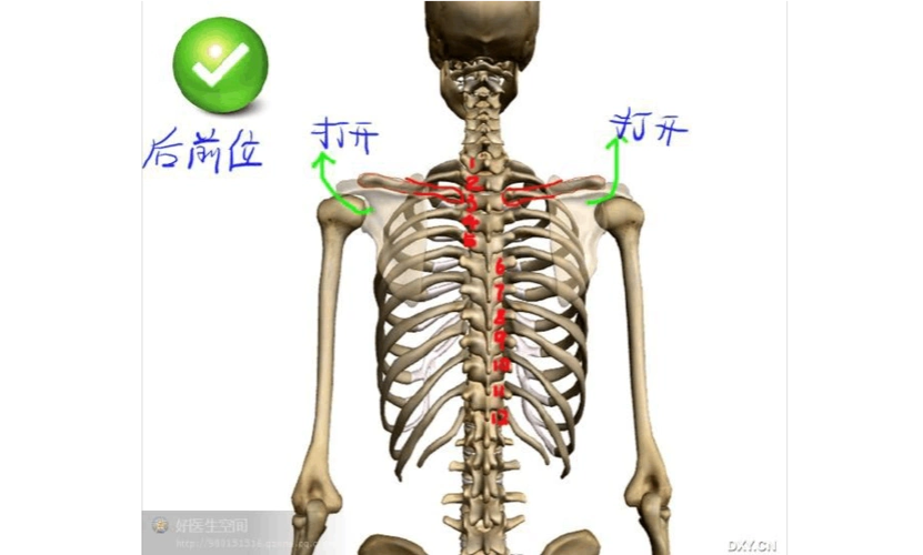 胸腔穿刺定位定量影像