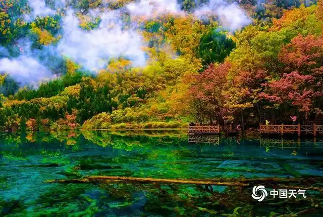 (杨东/视觉中国/版权图片 来源视觉中国)