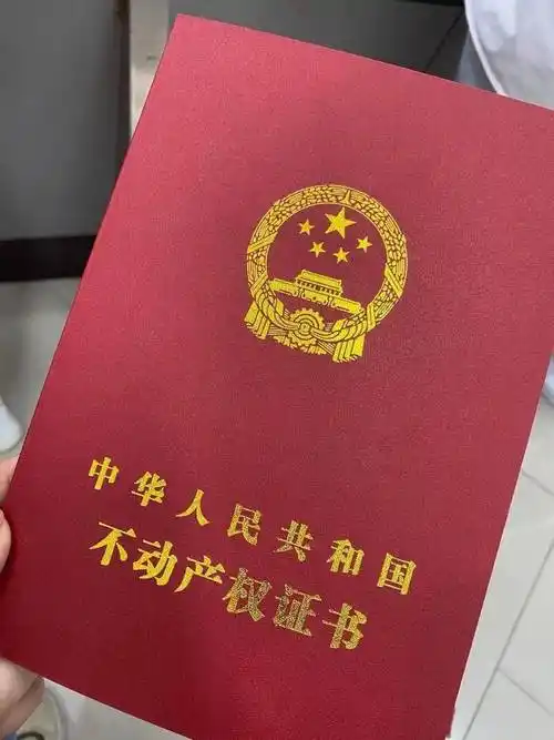 也是我公司目前的运营负责人陈曼,一边给我看手机里的房产证照片,一边