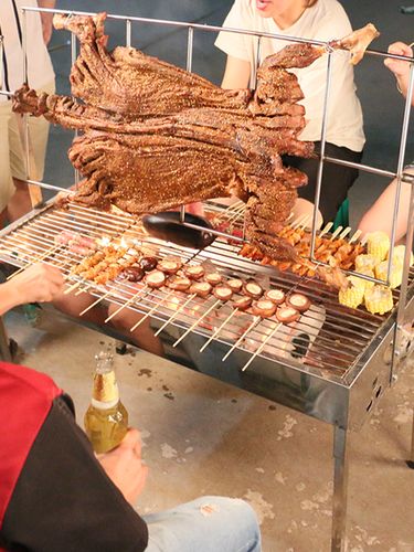 烤全羊架子 户外大额优惠券