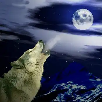 发私信给狼神啸月